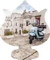 Esperienze esclusive